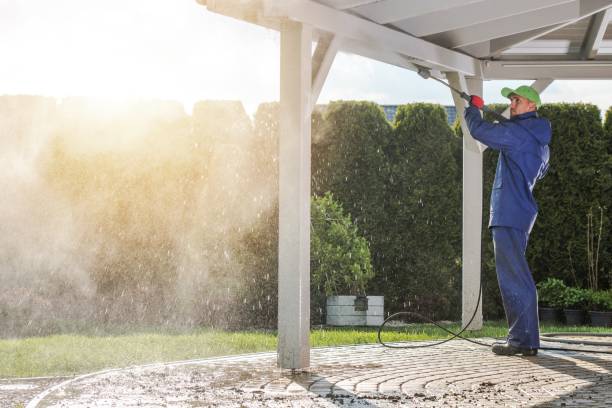 Best Roof Washing  in Mayfield Heights, OH